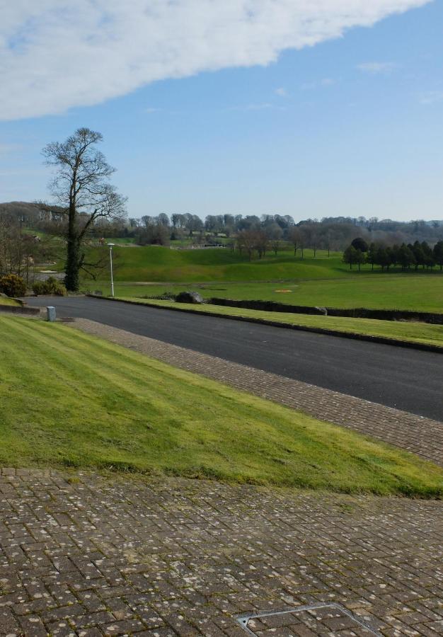 4 The Mews Villa Athlone Exterior photo
